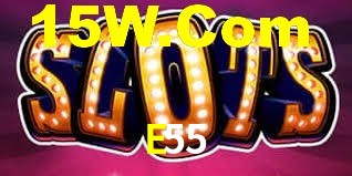 Premium Interface E55